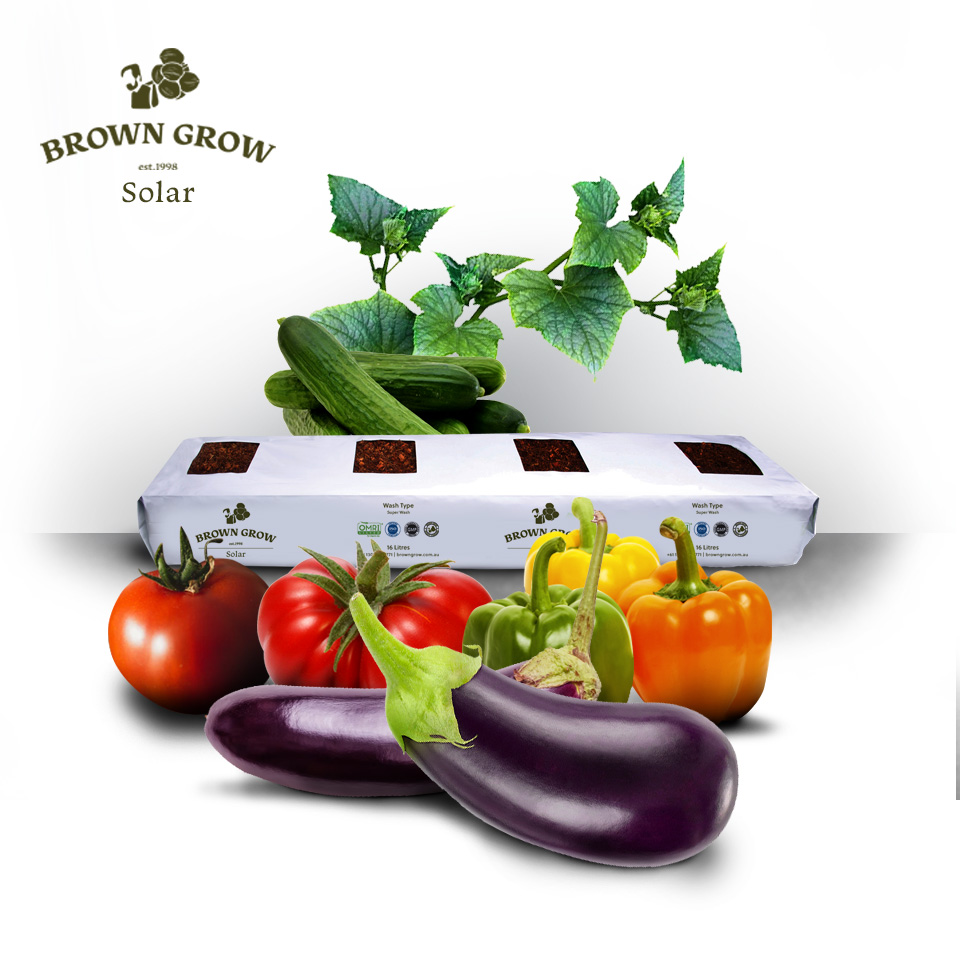 Browngrow universal-disc product