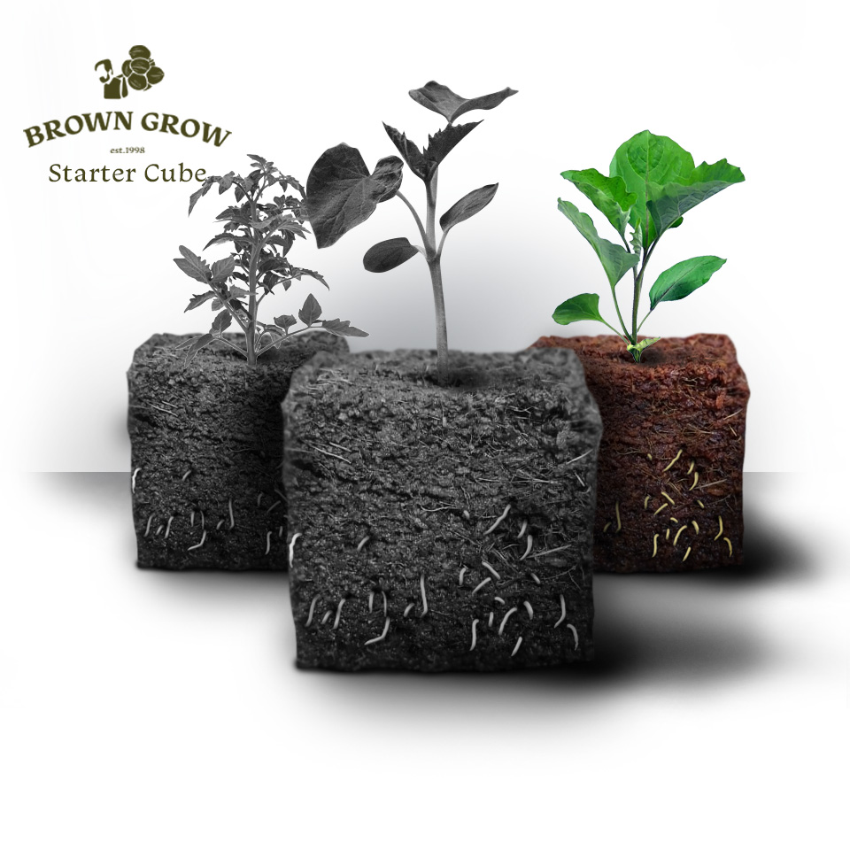 brown grow universal stater cube