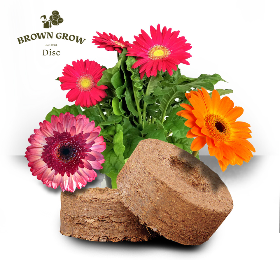 Browngrow coco coir disc product