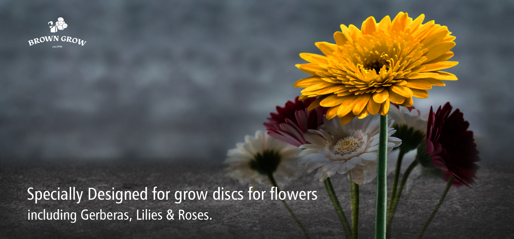 Grow discs for flowers