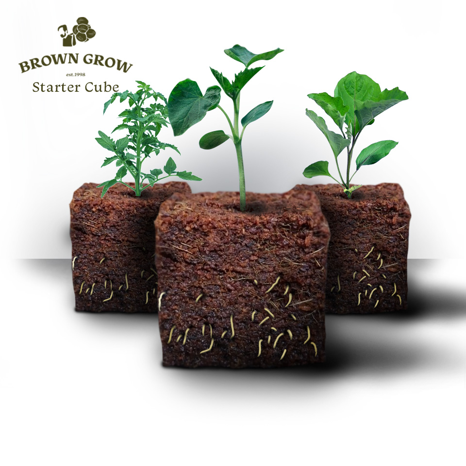 brown grow starter cube product